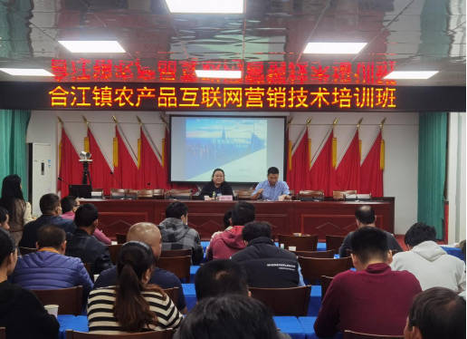 化州市合江鎮(zhèn)舉辦農(nóng)產(chǎn)品互聯(lián)網(wǎng)銷(xiāo)售與信息系統(tǒng)集成服務(wù)培訓(xùn)班